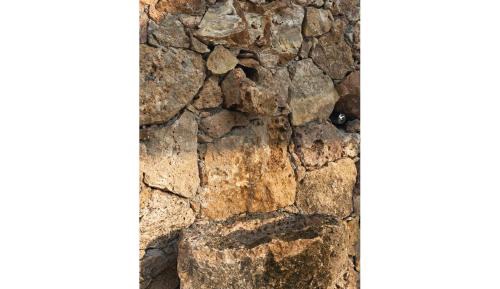 One-Bedroom Apartment with Pool View