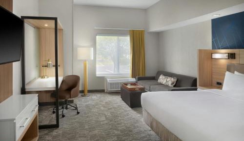 King Studio with Roll-in Shower - Mobility and Hearing Accessible