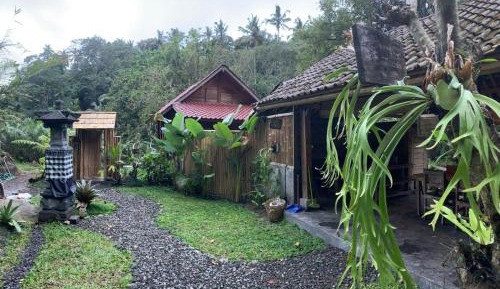 King Room with Garden View