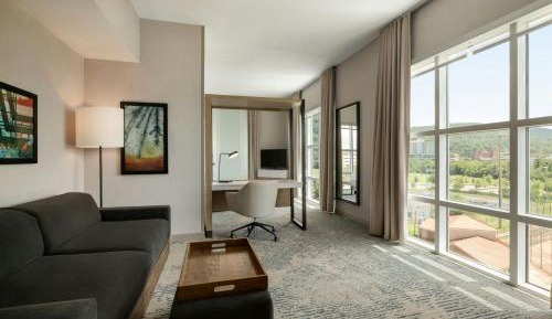 King Suite with Sofa Bed and View