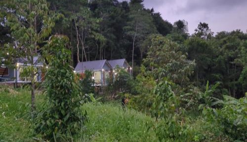 Bungalow with Garden View