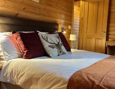 Lodge 6 (Superior) - Sleeps 6, Pet Friendly (No Hot Tub)