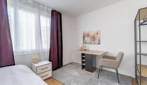 Single Room with Shared Bathroom