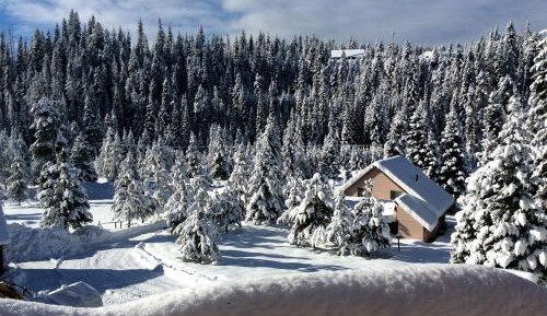 Holiday Home