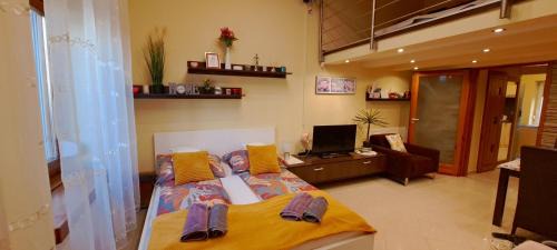 Studio Apartment