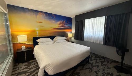 Deluxe King Suite