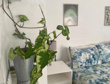 Family Room with Private Bathroom