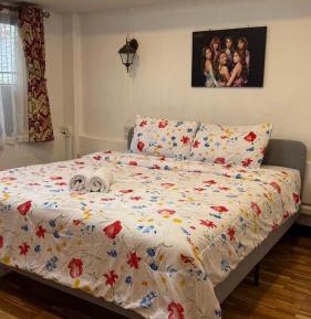 Double Room with Shared Bathroom