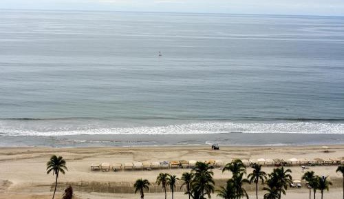 Junior Suite Ocean View King