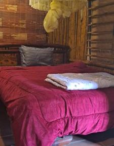 Deluxe Double or Twin Room with Balcony