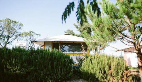 One-Bedroom Chalet