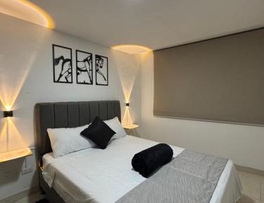 One-bedroom Loft Apartment 