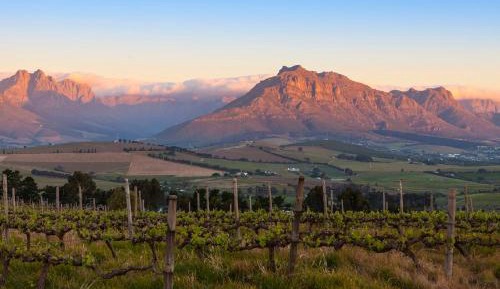 Superior One-Bedroom Apartment with Balcony