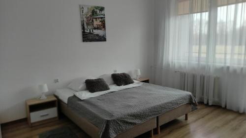 Large Single Room