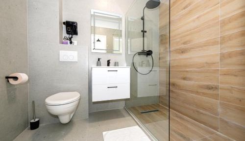 Deluxe One-Bedroom Apartment