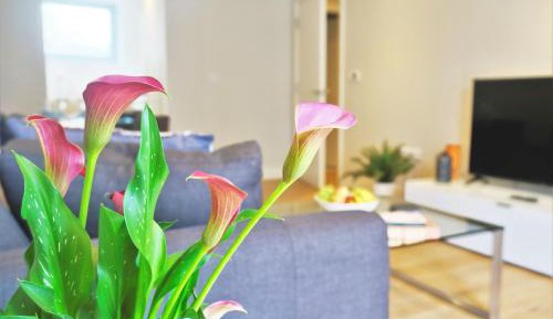 One-Bedroom Apartment with Balcony