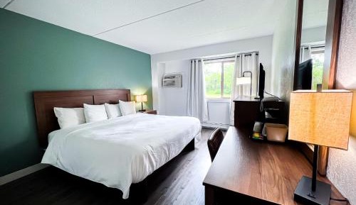 Large Single Room
