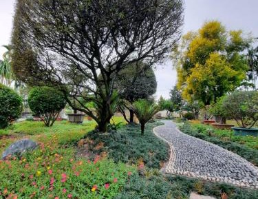 Triple Room with Private Bathroom