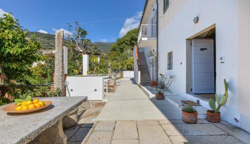 Superior One-Bedroom Apartment