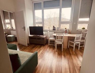 One-Bedroom Family Apartment