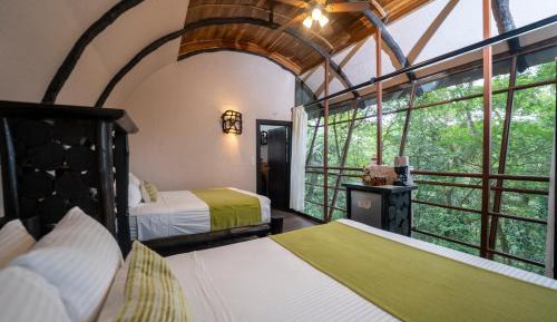 Tree House 1 Queen 1 Twin 