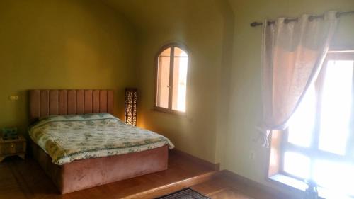 Junior Suite with Garden View