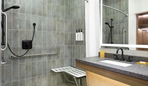 Standard Queen Room - Mobility/Hearing Accessible with Roll-In Shower 