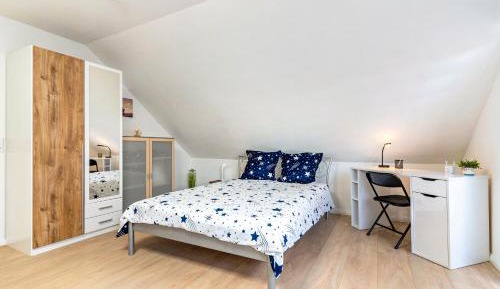 Superior One-Bedroom Apartment with Balcony