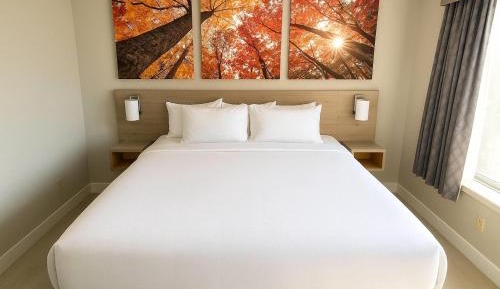 King Room - Non-Smoking