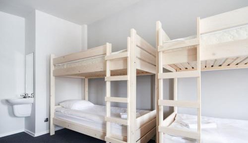 Bed in 8-Bed Mixed Dormitory Room