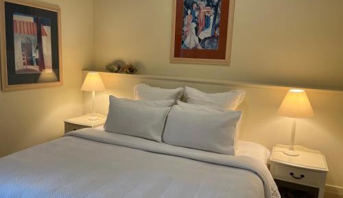 Superior Double or Twin Room with Garden View