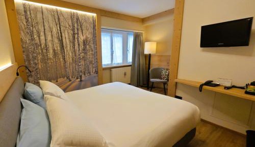 Double or Twin Room with Mountain View