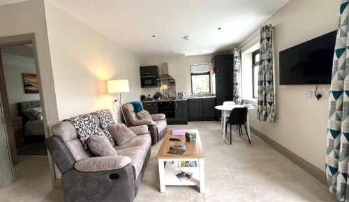 Deluxe One-Bedroom Apartment