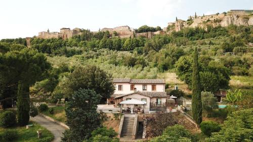 King Room with Garden View