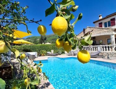Double Room with Pool View