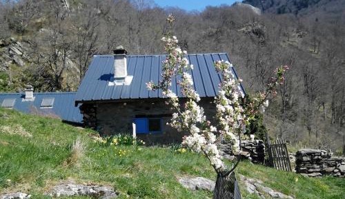 One-Bedroom Chalet