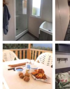 Mobile Home