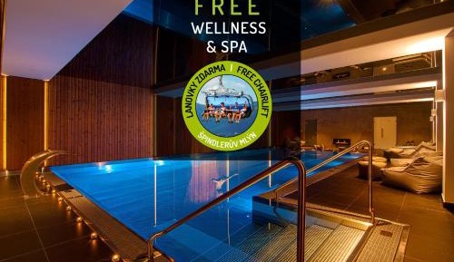 Comfort Double Room with Access to Wellness and Pool