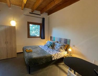 Studio with Garden View