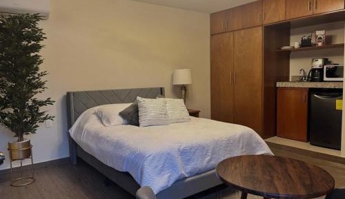 Deluxe One-Bedroom Apartment
