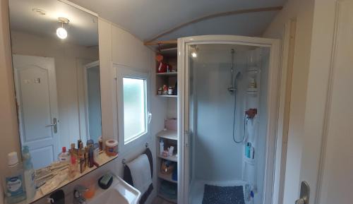 Mobile Home