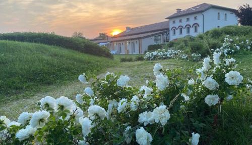 One-Bedroom Apartment with View