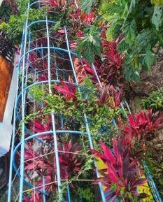 Bungalow with Garden View