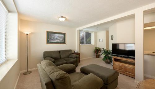 Deluxe One-Bedroom Apartment