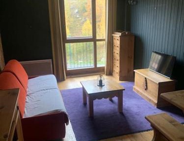 One-Bedroom Apartment with View