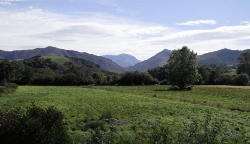 One-Bedroom Apartment with Balcony and Mountain View  