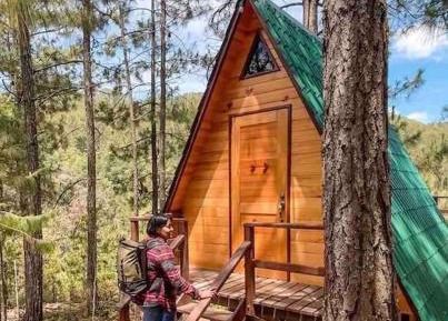 One-Bedroom Chalet