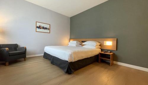 1 King Bed Premium 