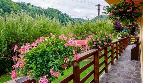 Double Room with Mountain View
