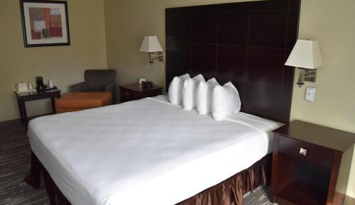 King Room with Roll-In Shower - Disability Access